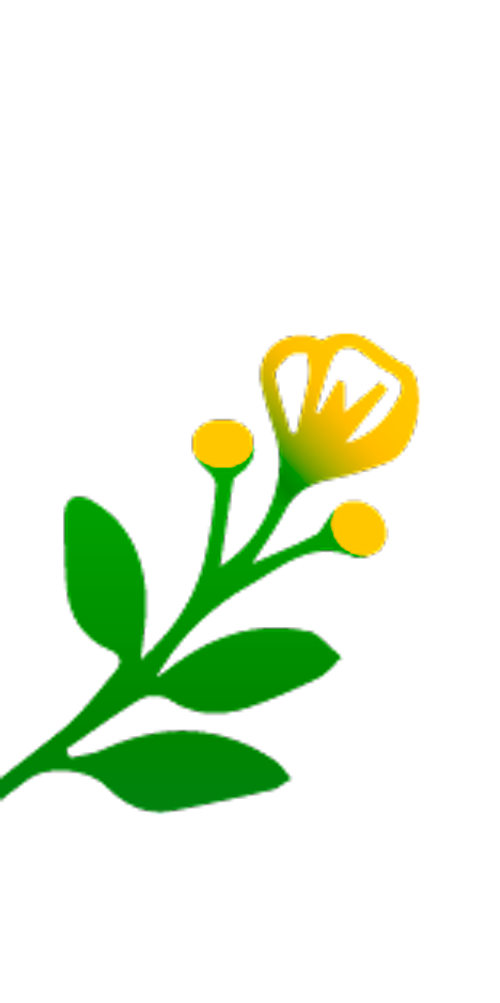 flor 40' Massatges La Ginesta 