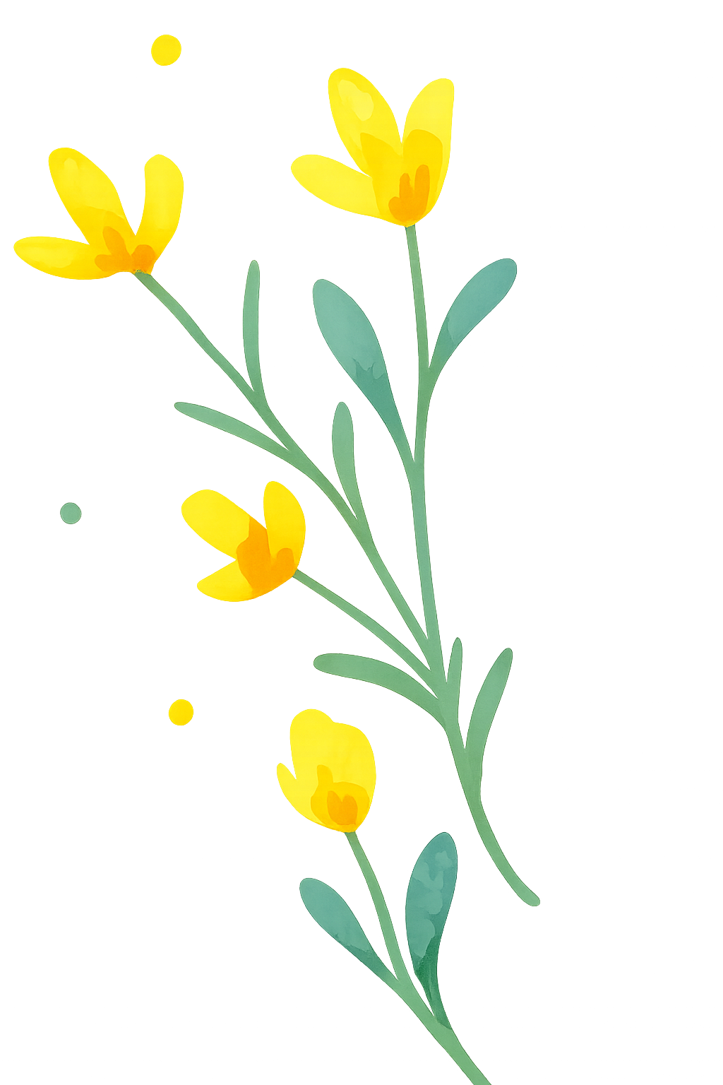 Massatges La ginesta mans