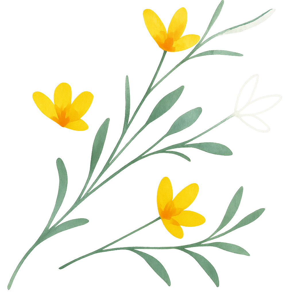 Massatges La ginesta gota